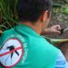 Combate aos focos do mosquito Aedes Aegypti se mantém intenso durante a pandemia