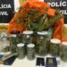 Veja vídeo: Após abordagem na RS-239, dupla acaba presa por tráfico de drogas em Sapiranga