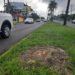 Em breve, Avenida Brasil voltará a receber redutor fixo de velocidade, diz secretário