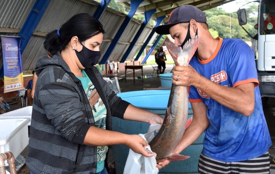 Feira do Peixe de Sapiranga comercializou sete toneladas de pescados