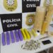 Polícia Civil prende dois homens por tráfico em Campo Bom