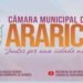 Resumo dos Trabalhos 16ª Sessão Ordinária Câmara de Araricá 2021