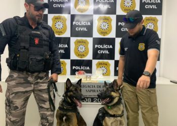 Polícia Civil derruba depósito de facção que vendia cocaína e crack em Sapiranga