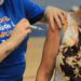 Campo Bom terá vacinação nesta terça e quarta-feira para os grupos prioritários iniciais