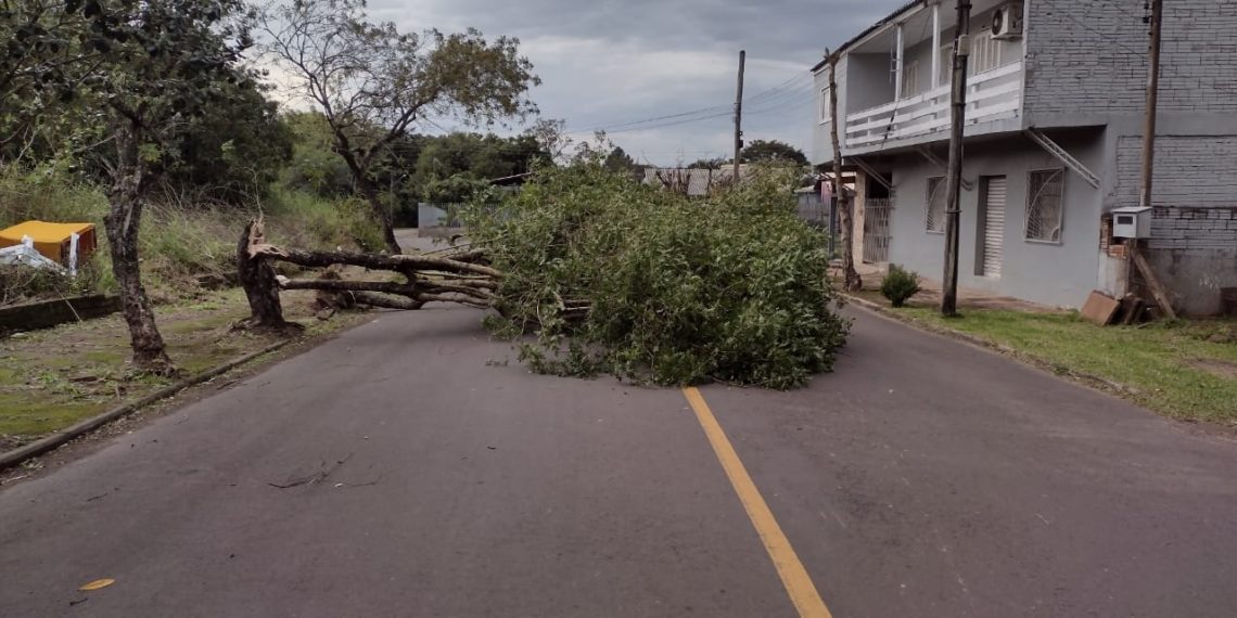 Ventania desta quinta-feira não registrou ocorrências graves em Sapiranga