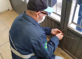 Força-tarefa do MP e Decon interdita dois mercados em Nova Hartz