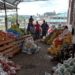 Famílias recebem doação de sacolas de alimentos em Sapiranga