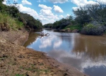 Estado divulga novo boletim sobre situação da estiagem no Rio Grande do Sul