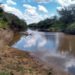 Estado divulga novo boletim sobre situação da estiagem no Rio Grande do Sul