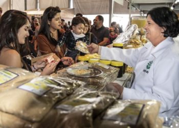 Feira da agricultura familiar quadruplica de tamanho nesta Expointer