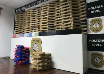 Avaliada em mais de R$ 1 milhão, Polícia Civil de Sapiranga realiza maior apreensão de drogas do ano
