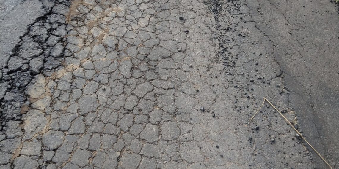 Vereadora denuncia 14 buracos em rua recém-asfaltada de Araricá