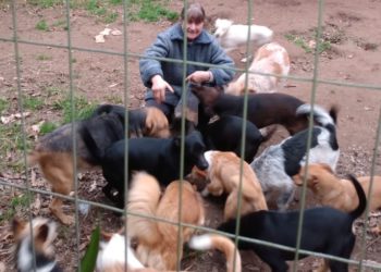 Cuidadora de animais em Sapiranga promove ação para arrecadar fundos