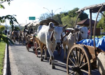 Será instalado em Campo Bom o Escritório de Defesa Agropecuária (EDA)