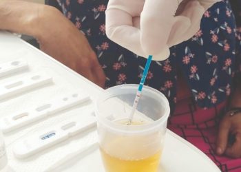 Testes rápidos de gravidez estão disponíveis nas unidades de saúde em Sapiranga