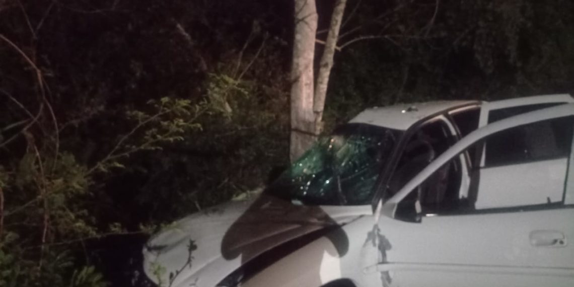 Motorista perde o controle e carro bate em árvore na RS-464 em Nova Hartz