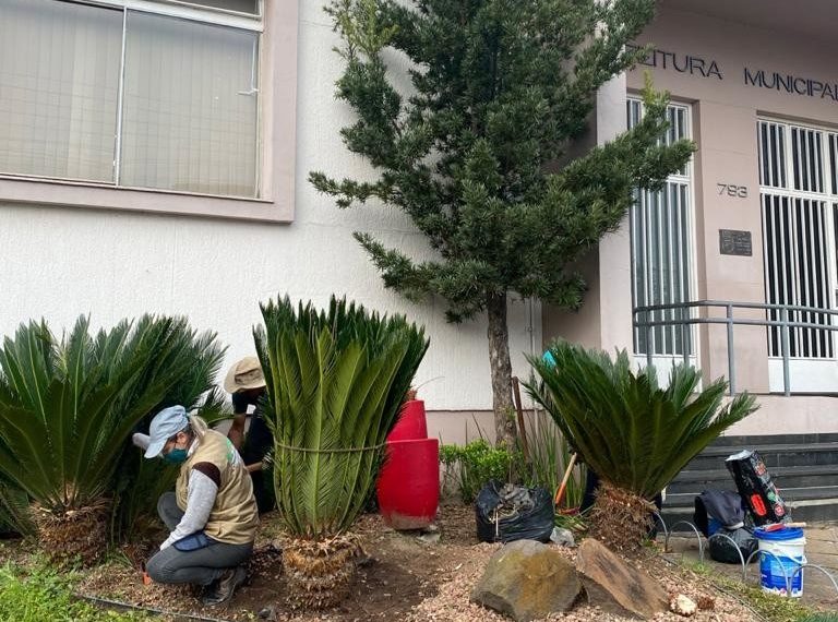 Cemeam revitaliza canteiros do Centro Administrativo em Sapiranga
