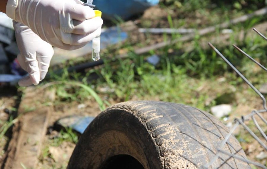 Em combate ao mosquito Aedes aegypti, Prefeitura de Sapiranga realiza ação