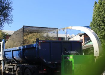 Sistema de podas visa reutilização de resíduo orgânico em Campo Bom