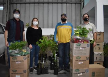 Departamento de Agricultura de Nova Hartz atua em parceria com produtores da cidade