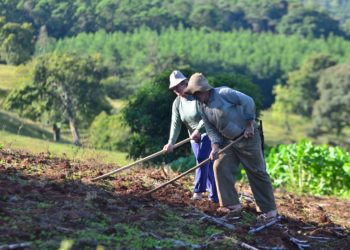 Investimentos no setor primário seguem em alta em Sapiranga