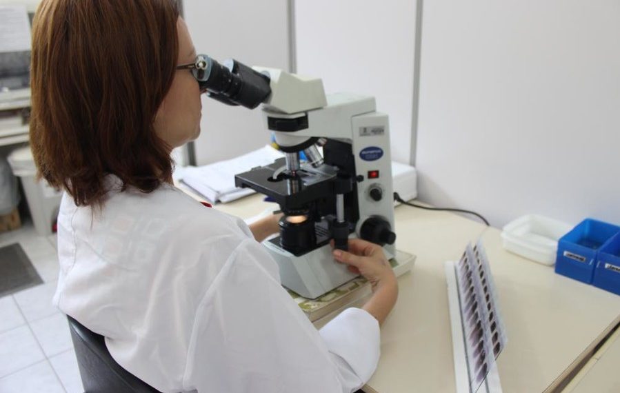 Iniciativa da Prefeitura de Sapiranga visa zerar fila de espera para exames laboratoriais