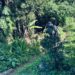 Turismo rural foi assunto de mais uma atividade no Cemeam de Sapiranga