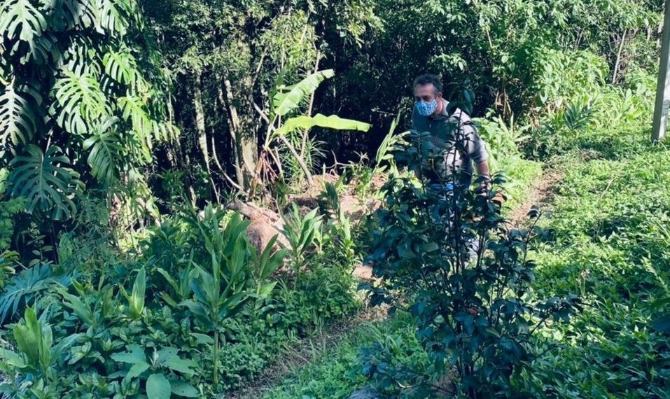 Turismo rural foi assunto de mais uma atividade no Cemeam de Sapiranga