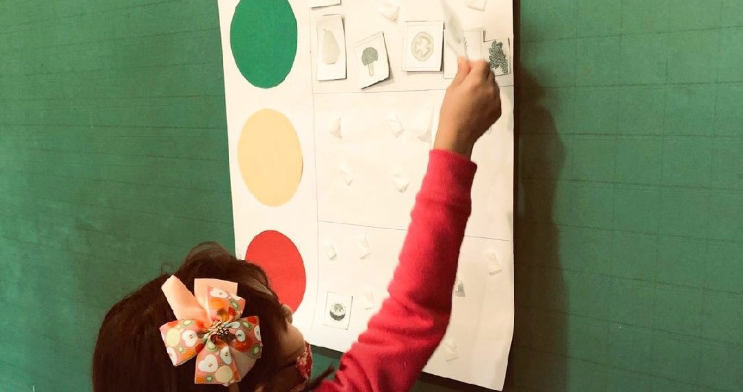 Araricá realiza atividades em escola referente a saúde dos alimentos