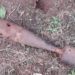 BOPE confirma que artefato encontrado em Campo Bom está inativo