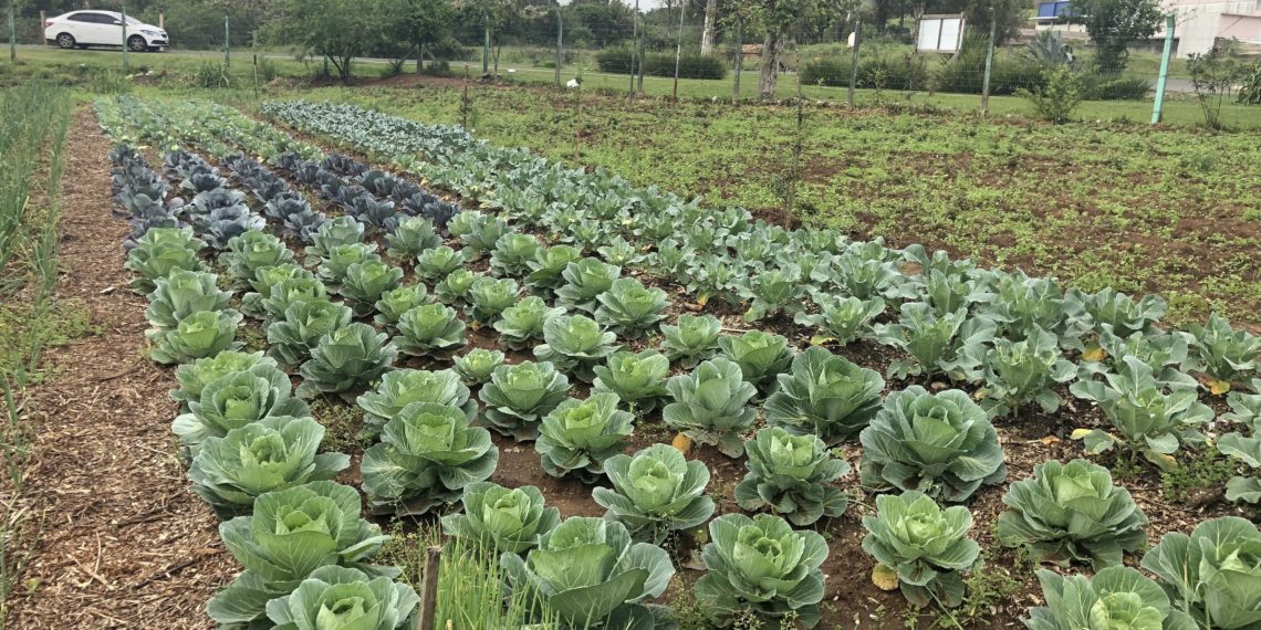 Prefeitura de Campo Bom promove Semana da Alimentação