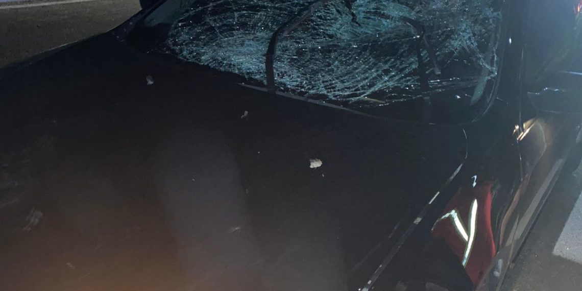 Acidente na RS-239 causa congestionamento em Nova Hartz