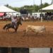 43º Rodeio Nacional de Campo Bom tem datas definidas