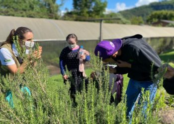 Estudantes da Apae Sapiranga visitam Centro Ambiental