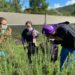 Estudantes da Apae Sapiranga visitam Centro Ambiental