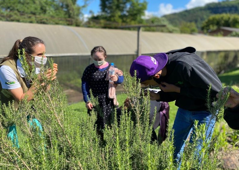 Estudantes da Apae Sapiranga visitam Centro Ambiental