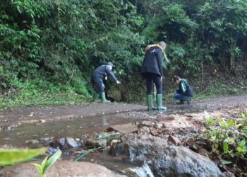 Semape realiza mapeamento geológico da ARIE do Morro Ferrabraz, em Sapiranga