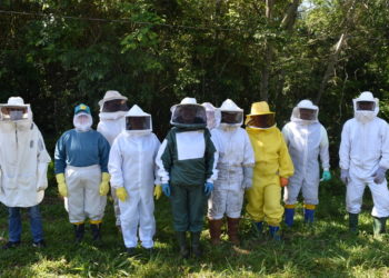 Em Sapiranga, Cemeam realiza curso de apicultura