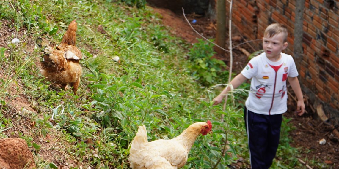 Emei Bem-viver, de Campo Bom, concorre ao prêmio nacional “Meu Pátio é o Mundo”