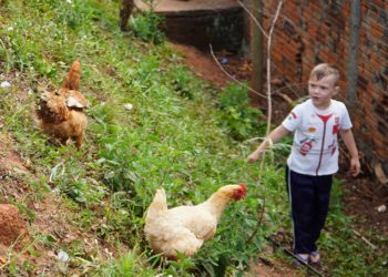 Emei Bem-viver, de Campo Bom, concorre ao prêmio nacional “Meu Pátio é o Mundo”