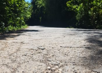 RS-020 com trechos esburacados e RS-239 possui mais de R$ 1 milhão em caixa