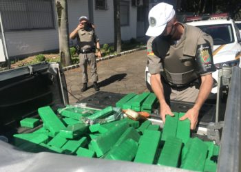 Brigada Militar apreende mais de 260 quilos de maconha em Campo Bom
