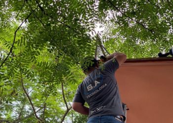 Praça da Bandeira recebe pintura, consertos e câmeras de monitoramento em Sapiranga