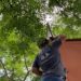 Praça da Bandeira recebe pintura, consertos e câmeras de monitoramento em Sapiranga