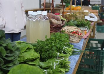 Em 2021 a Feira do Agricultor de Sapiranga comercializou mais de R$ 2 milhões