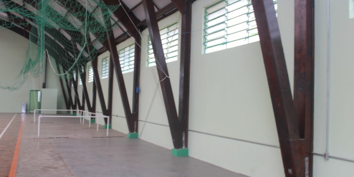 Nenezão e Palácio dos Esportes passam por revitalização