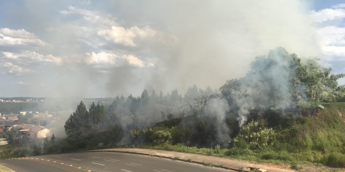 Tempo seco aumenta riscos de incêndios em vegetações
