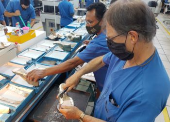 Economia é gerada por vários setores, mas indústria ainda representa a maior fatia em Sapiranga