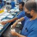 Economia é gerada por vários setores, mas indústria ainda representa a maior fatia em Sapiranga