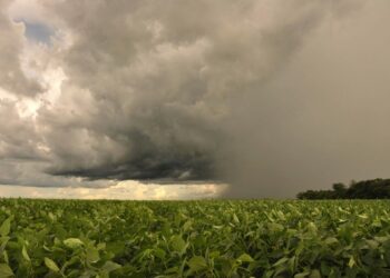 Simagro-RS prevê chuva e diminuição das temperaturas para final de janeiro e início de fevereiro